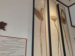 -沐善人家中医·推拿·理疗·三伏灸(新洲店)