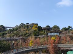 -福道