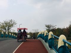 -上海长兴岛郊野公园