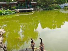 -宣武艺园