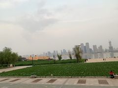 -武汉知音号