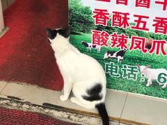 -梅记大块头爆鱼店(乍浦路店)