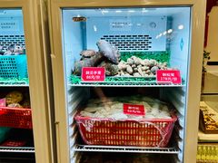-太婆天府山珍酒楼(亚运村店)