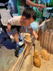 -酷嗒动物文化乐园(cutezoo西溪乐天城店)