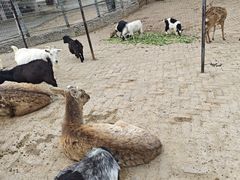 -武汉紫薇都市田园