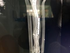 -中农大我爱我爱动物医院(甜水园店)