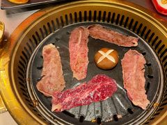 -杨记齐齐哈尔烤肉(五莲路店)