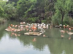 -宁波野生动物园