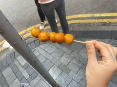 -豪華小食.華記