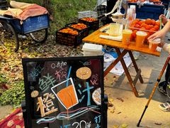 -上海佘山国家森林公园天马山园