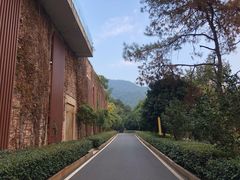 -羡餐厅·杭帮菜·淳菜(千岛湖自由洲际殿店)