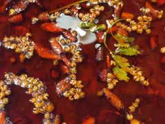 -味之绝热血美蛙鱼火锅(中坝店)