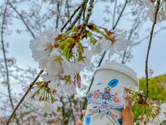 -Beans Solo豆号咖啡(百家湖花园店)