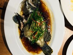 清蒸鲈鱼-泰华海鲜中餐厅(普吉镇店)