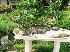 -宝鸡植物园
