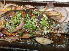 -鼎原力量东北吊炉烧烤(临河街店)