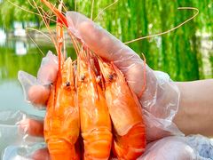 -蟹天蟹地农家菜·阳澄湖大闸蟹(浅水湾店)