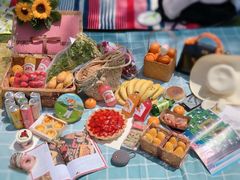 -上海吴淞炮台湾国家湿地公园