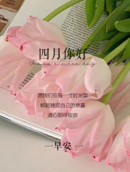 -美肤盾祛痘·问题肌头疗管理中心