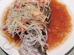 -大班家政月嫂育儿嫂(总部店)