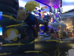 泰迪熊博物馆-成都泰迪熊博物馆