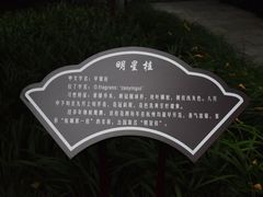 -杭州少年儿童公园