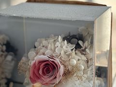 -昕艺咖啡(鼎城国际旗舰店)