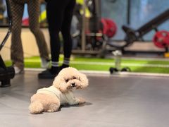 -FEELINGME乐刻私教馆·健身(沿海赛洛城店)