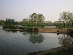 -大兴滨河森林公园