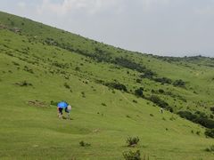 -大姆山草场