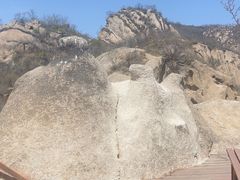 -大岭沟猕猴桃谷风景区