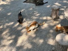 -四门塔风景区