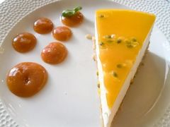 杏酱芝士蛋糕-纽约咖啡馆