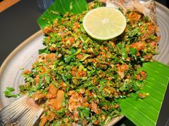 洱海手撕海鲈鱼-Ameigo梅果·云贵川bistro(长宁来福士店)