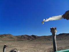 -新疆天山野生动物园