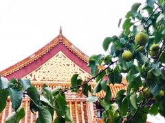 -故宫博物院(故宫)