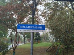 -东钱湖小普陀景区