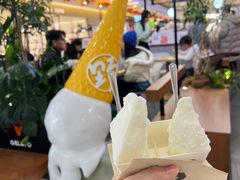 -野人先生Gelato(上海长宁龙之梦店)