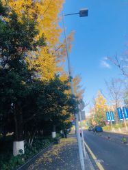 -贵阳国际生态会议宴会中心