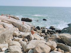 -广东惠东海龟国家级自然保护区