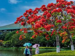 -厦门大学(思明校区)