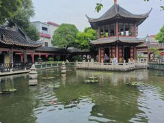-碧江金楼