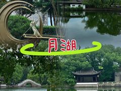 -月湖公园
