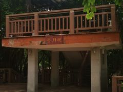 -广东花都湖国家湿地公园