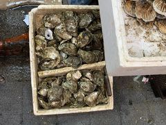 -青石桥市场北1-27号