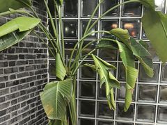 -火福·天湖阁大闸蟹博物馆主题餐厅(浅水湾店)