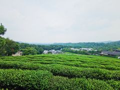 -中国茶叶博物馆(双峰馆区)
