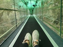 -灵栖洞天