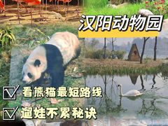 -武汉动物园
