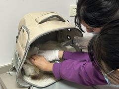 -爱侣宠医·鹦鹉专科·小型哺乳类·异宠专科(灵石路店)